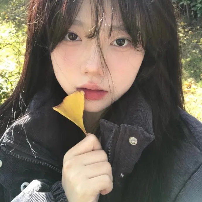 预言 封面